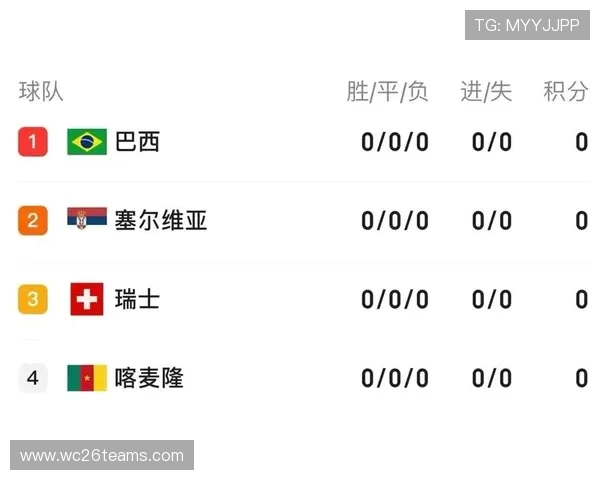 新球体育带你深入解析世界杯预选赛积分榜最新变化与球队表现